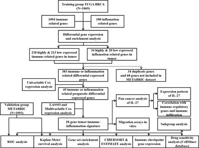 Frontiers Identification Of A Tumor Immune Inflammation Signature